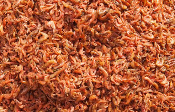 Rougail de chevaquines